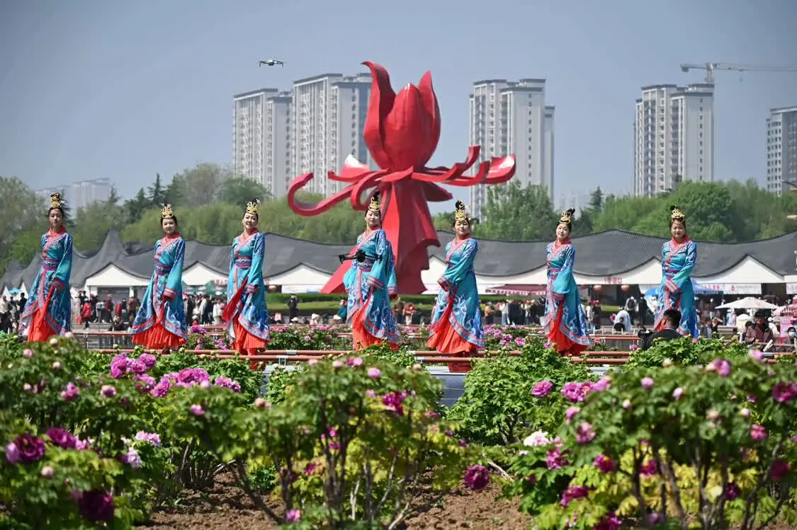 圖片來(lái)源:網(wǎng)信菏澤